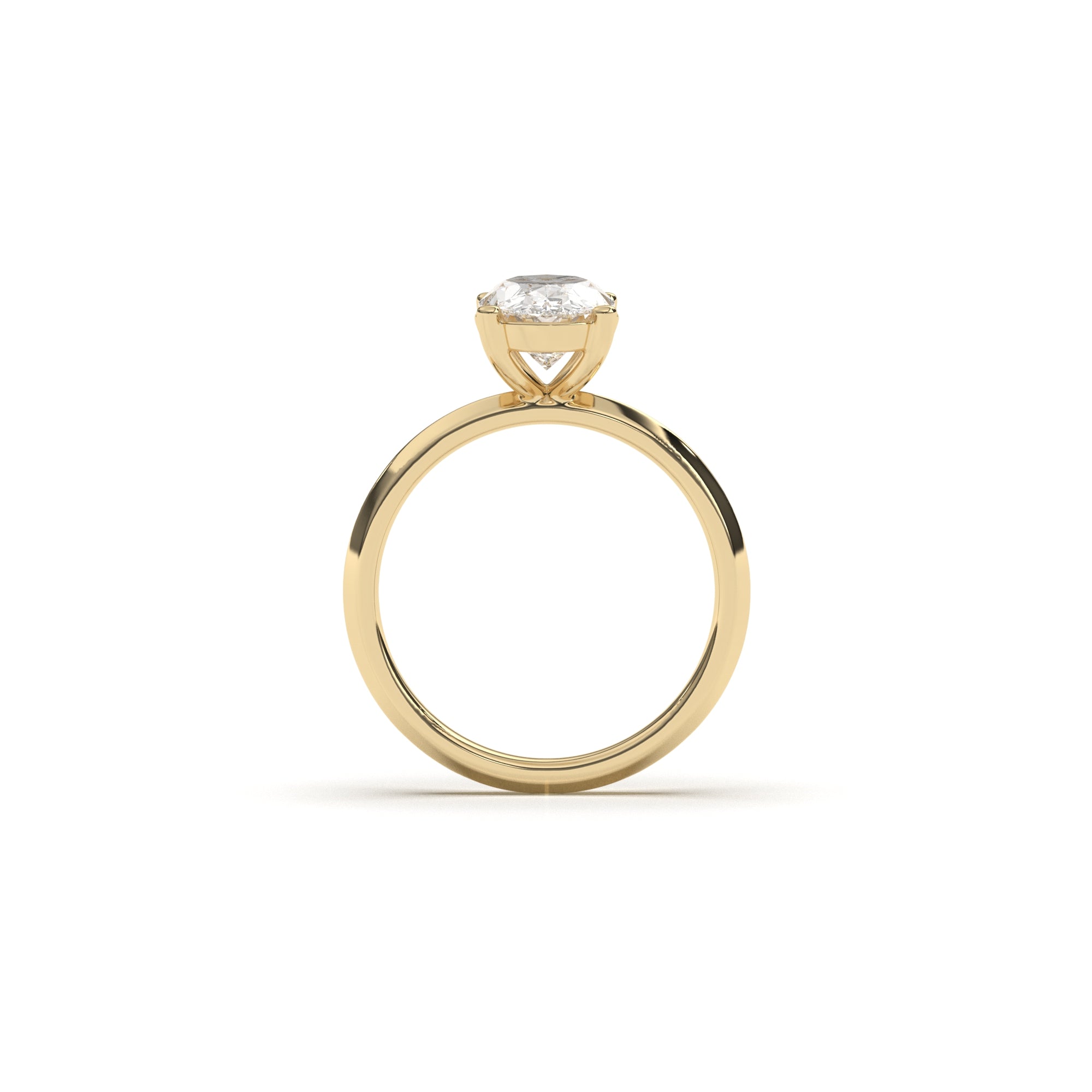 Oval Holly