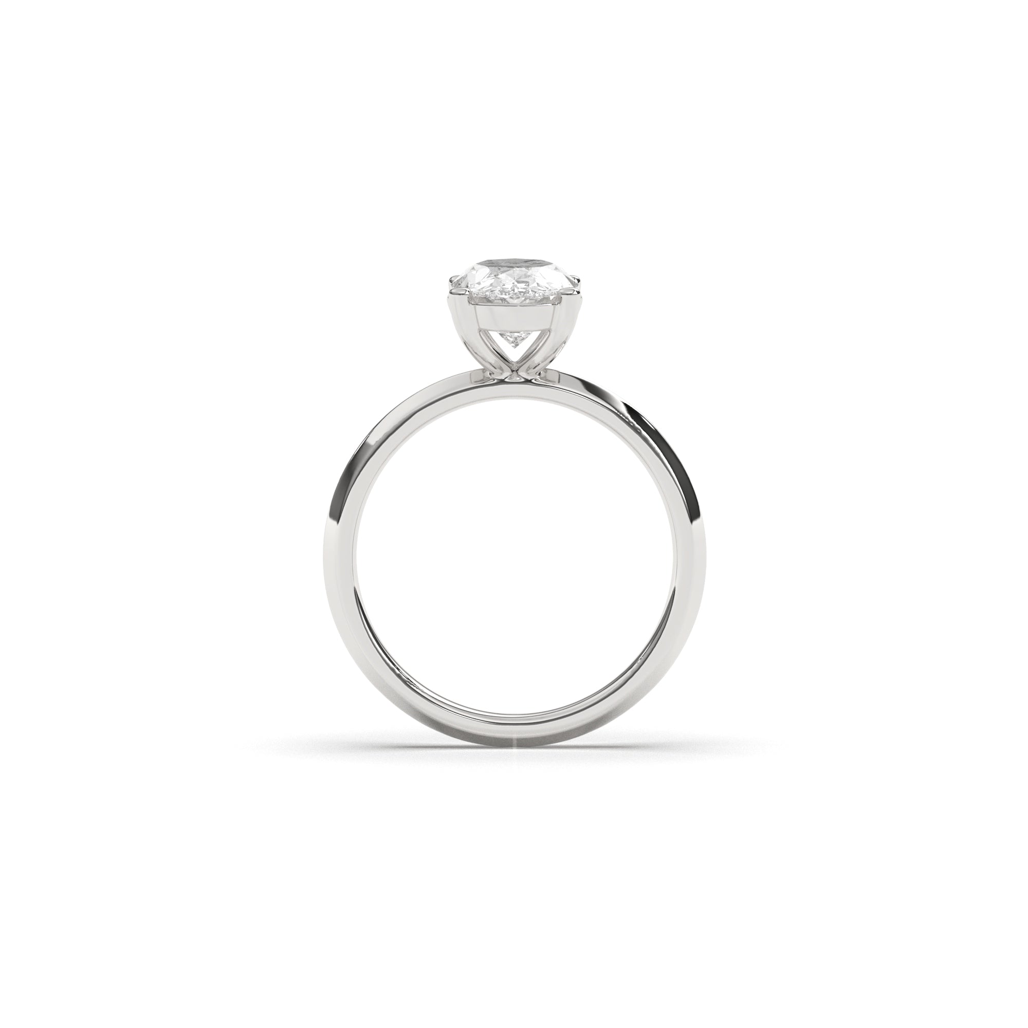 Oval Holly